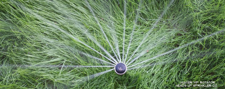 Commercial irrigation