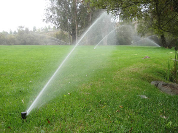 Commercial irrigation
